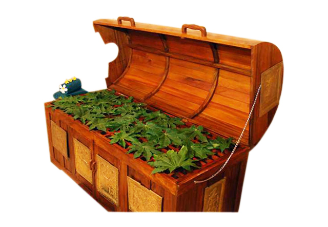 Steam Cabin (Laydown) (Sarvang Vashpa Swedan Yantra)