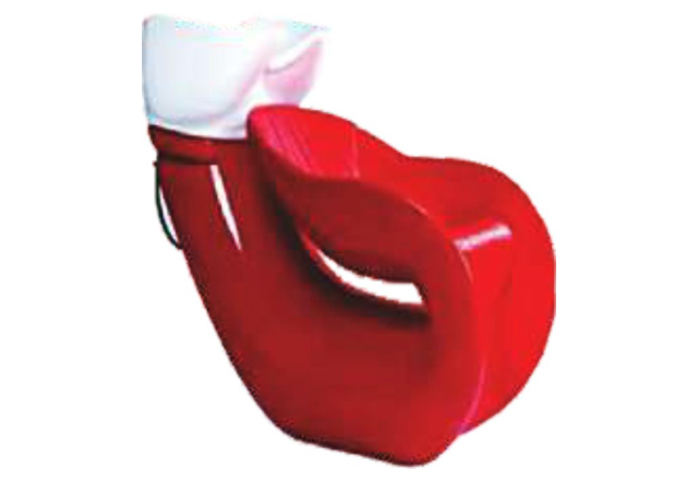 Shampoo Station (Bird)